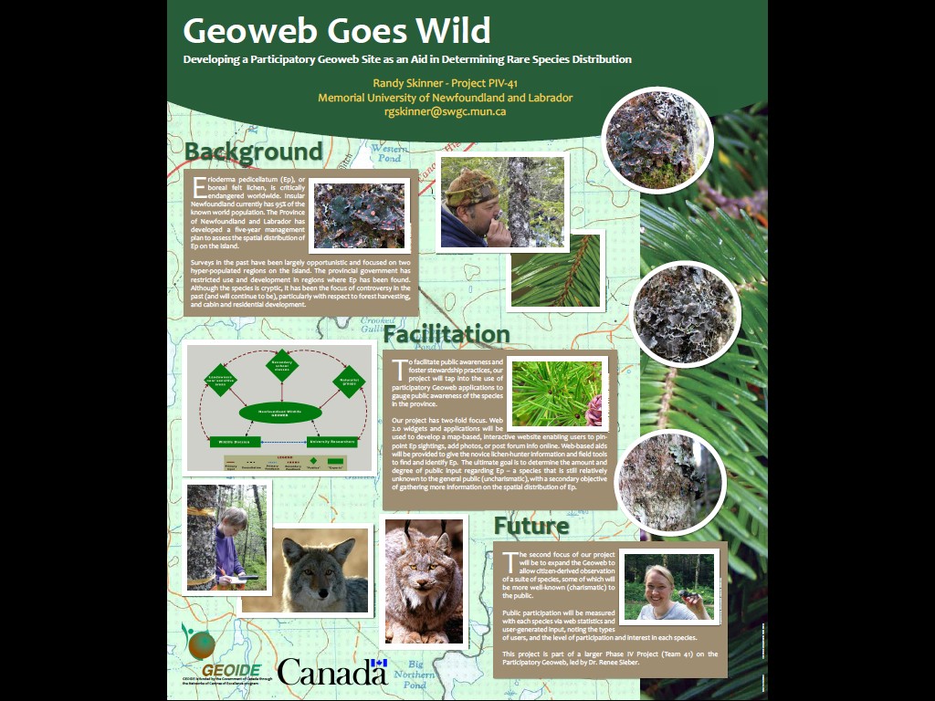 Skinner presentation at GEOIDE 2009
