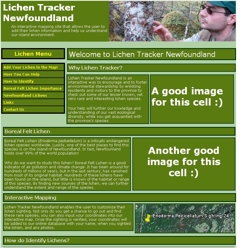 sample website page