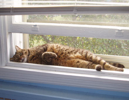 Get your own window.