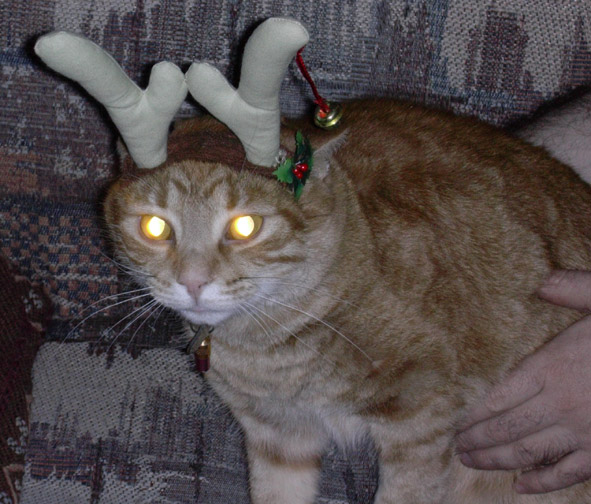 Mr Evil's Christmas